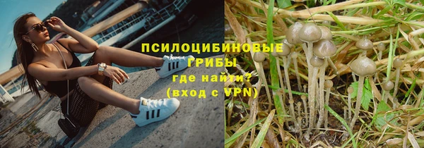 PSILOCYBIN Горнозаводск